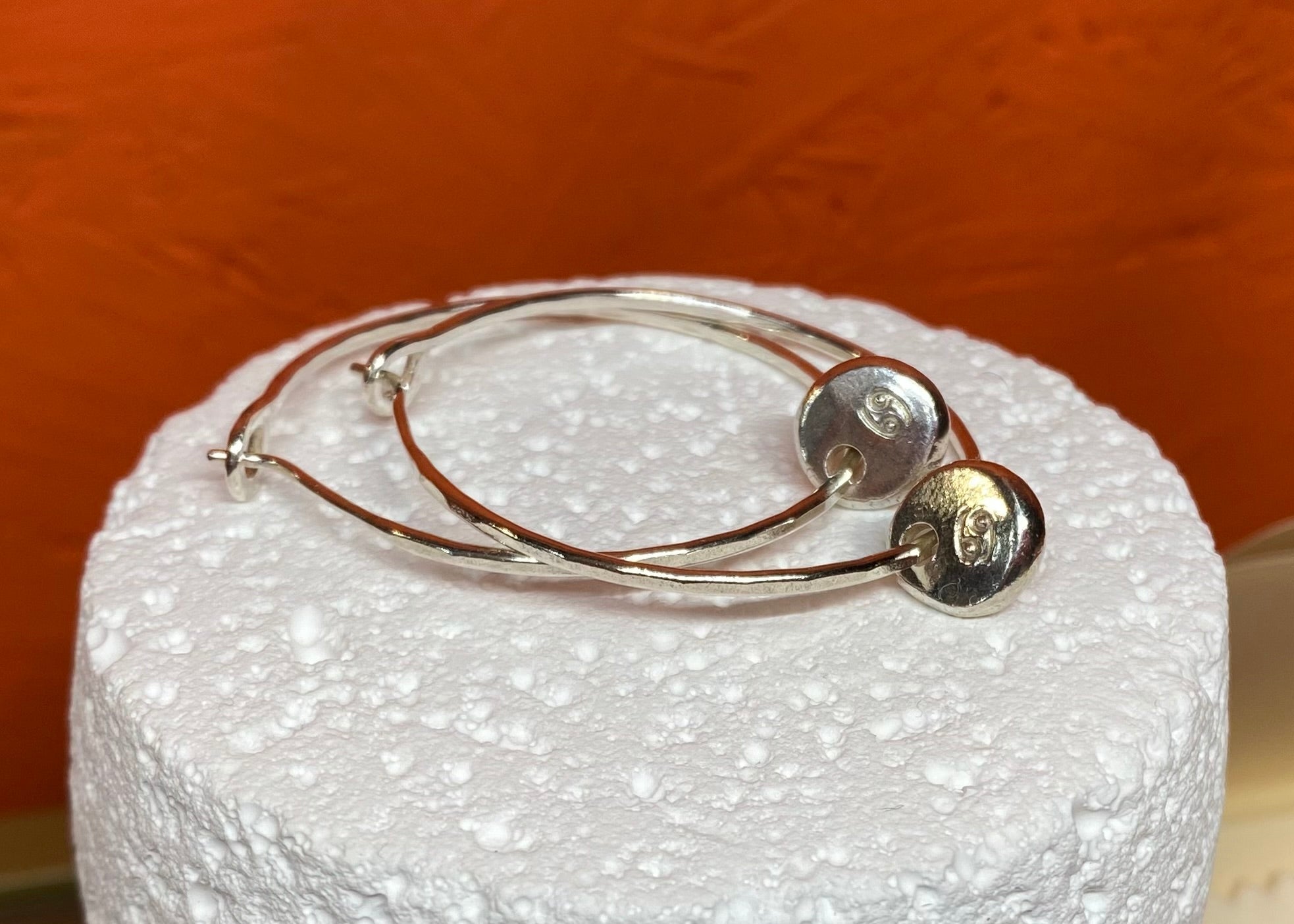 Infinity Zodiac Coriandoli Hoops